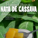 nata de cassava