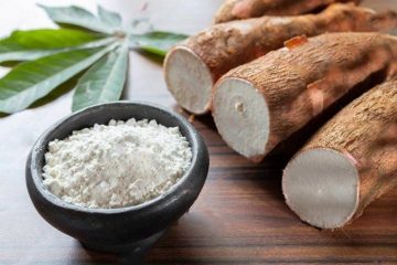 bahan baku tepung tapioka